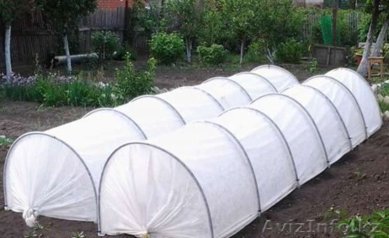 Удобные дачные парники - Изображение #2, Объявление #1218913