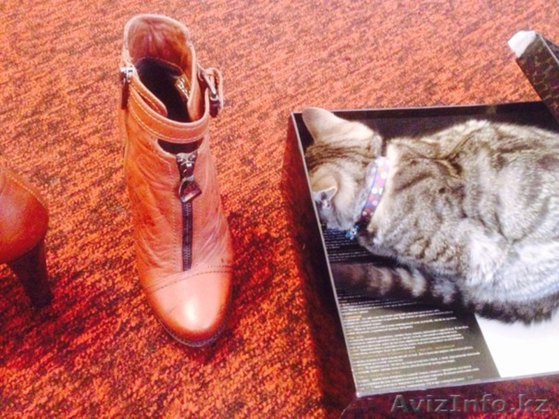 Продам весенние ботильоны 36-37 разм - Изображение #2, Объявление #1225718