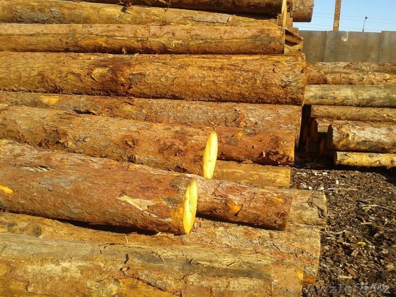 Лес-кругляк, пиловочник деловой.  - Изображение #3, Объявление #1233539