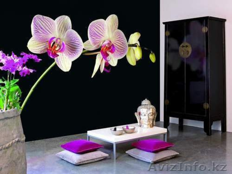 Фото обои на заказ. - Изображение #1, Объявление #1239118