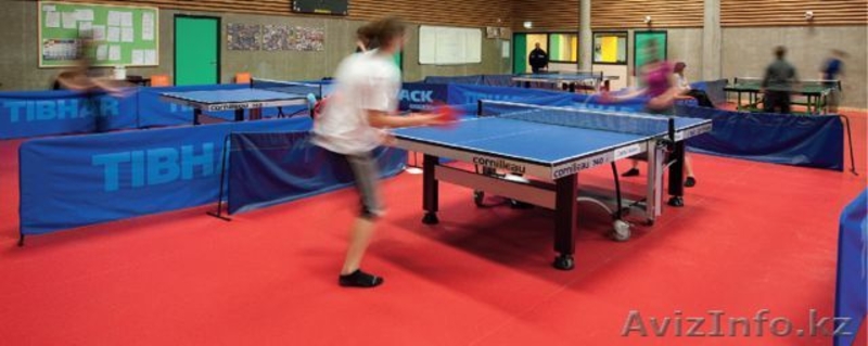 Спортивные покрытия - Изображение #8, Объявление #1242420