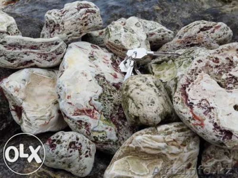 Камни и морской песок для аквариумов - Изображение #3, Объявление #1227462