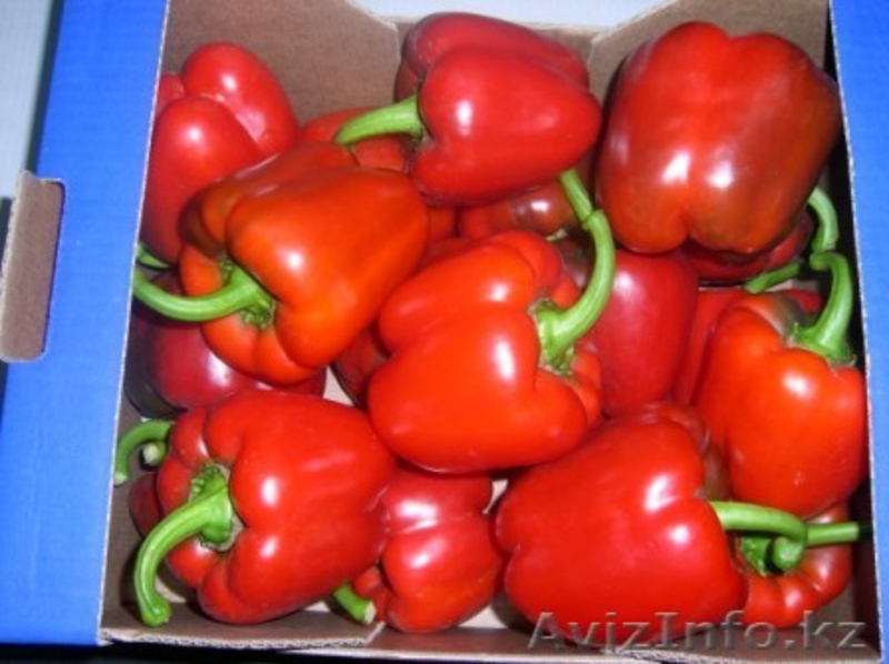 Фрукты и овощи из Испании  - Изображение #3, Объявление #192391