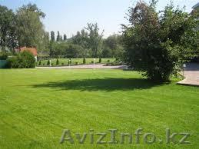 Благоустройство участков - Изображение #2, Объявление #1239535