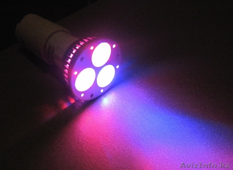 Лампы для цветов. - Изображение #3, Объявление #1242228