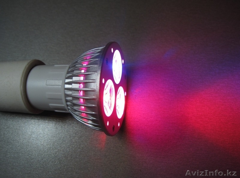 Фитолампы мощностью 3 Вт. - Изображение #3, Объявление #1241832