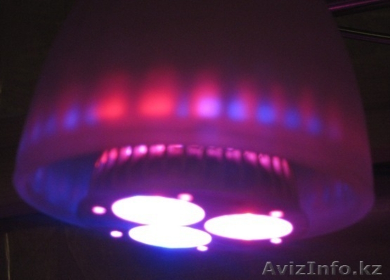 Фитолампы мощностью 3 Вт. - Изображение #5, Объявление #1241832