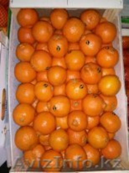 мандарины Морокко - Изображение #3, Объявление #1234452