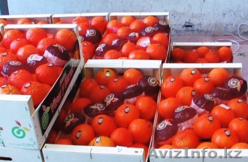 Фрукты и овощи из Испании  - Изображение #2, Объявление #192391