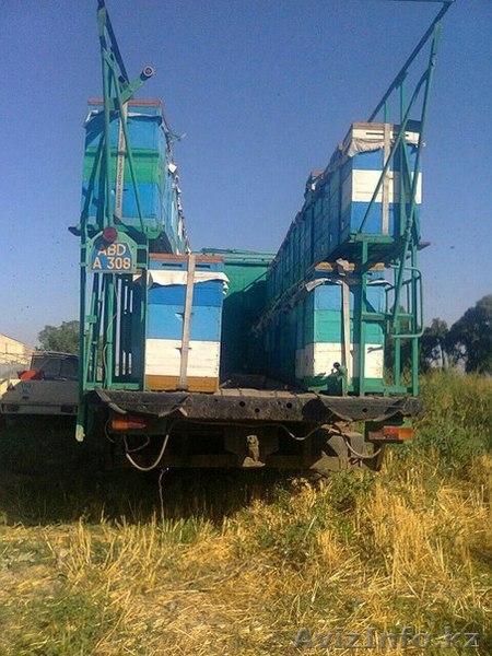 продам прицеп пчело павильон  - Изображение #3, Объявление #1239572