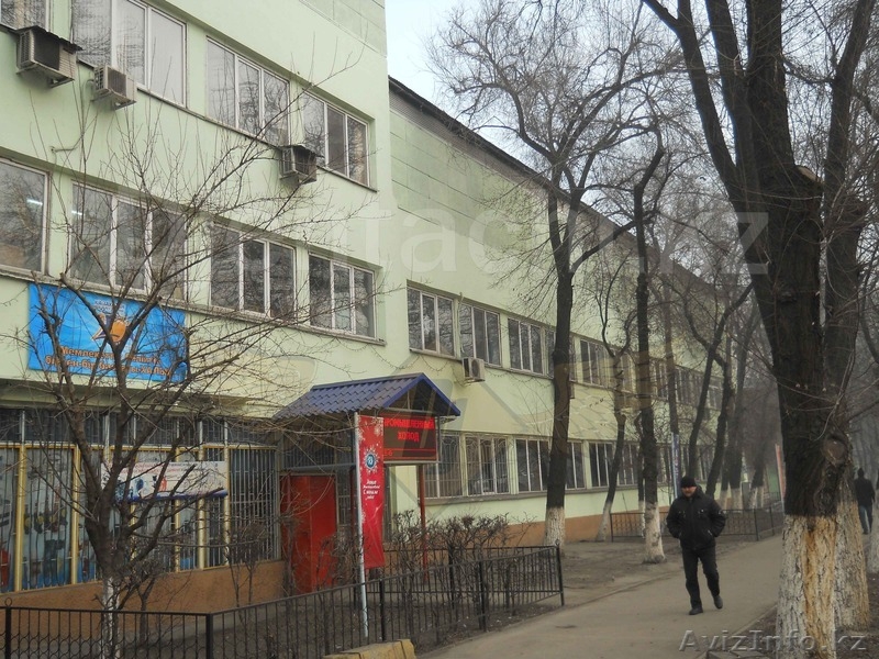 Покраска зданий Алматы - Изображение #3, Объявление #1239124