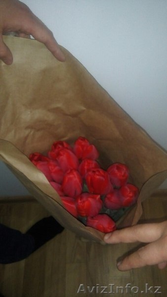 Цветы - Тюльпаны - Изображение #4, Объявление #1230729