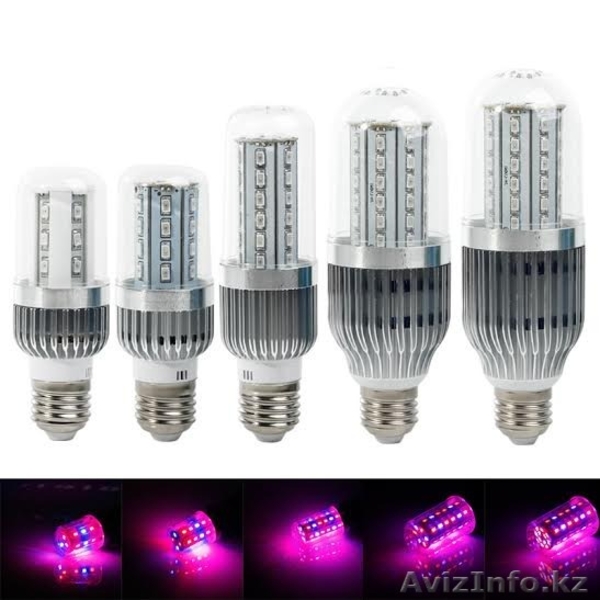 Фитолампы LED для комнатных растений и рассады - Изображение #2, Объявление #1234623