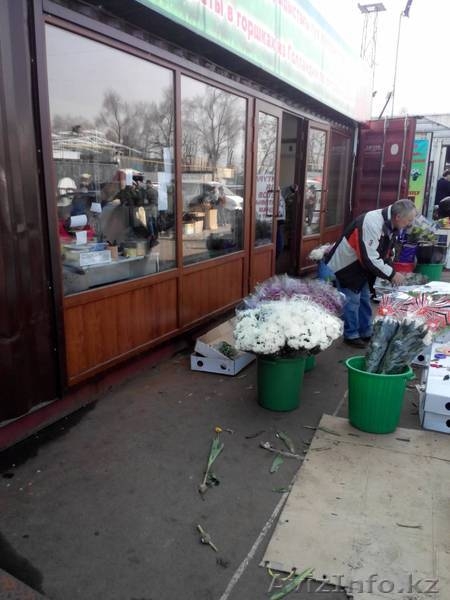 Пластиковые окна в алматы от феникса - Изображение #6, Объявление #1255176