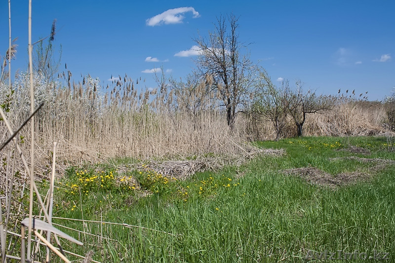 Продам два дачных участка по 6 соток. - Изображение #3, Объявление #1254430