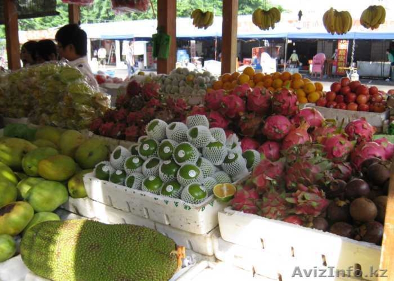 Горящие туры на о. Хайнань - Изображение #3, Объявление #1248757