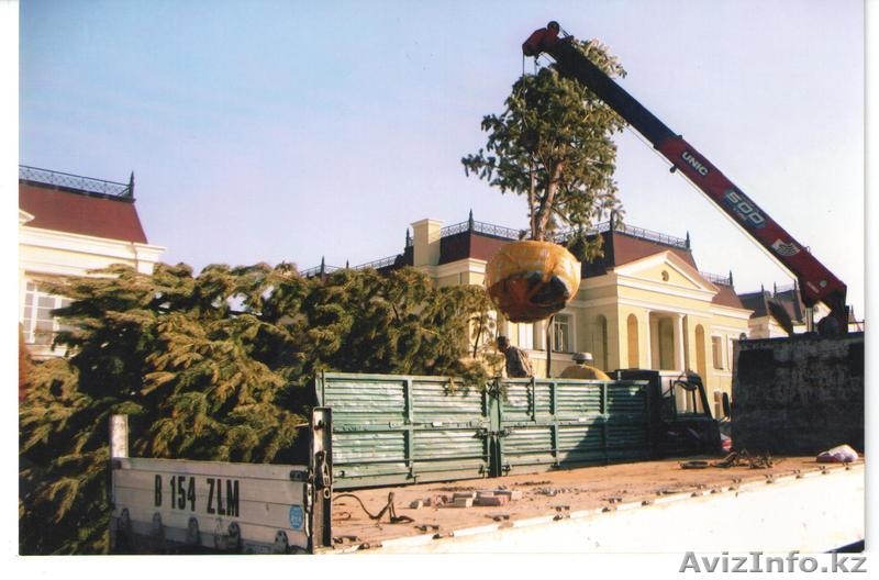 Дизайн Ландшафта и озеленение - Изображение #3, Объявление #1250444