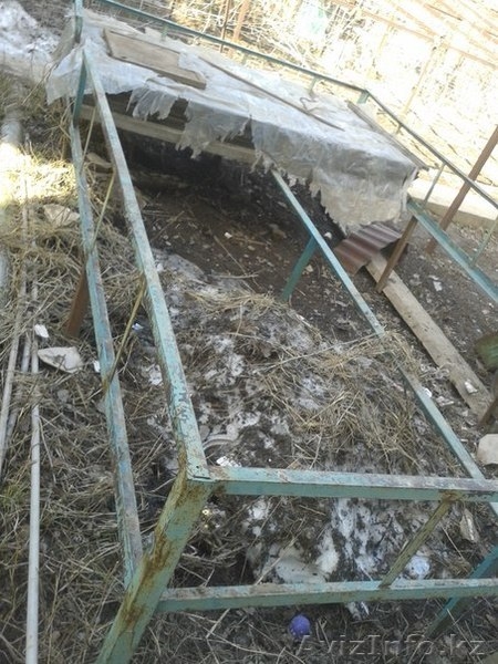 Изготовим на заказ металлические топчаны в Алматы - Изображение #1, Объявление #477319