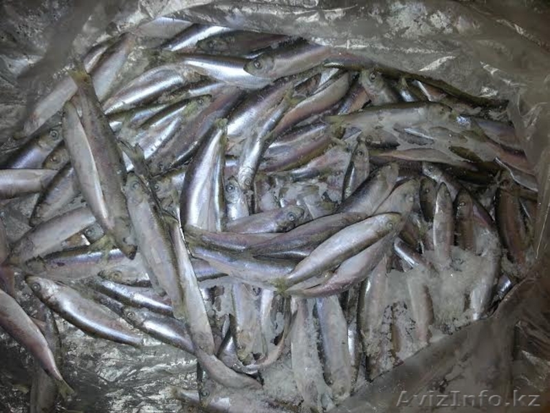 Рыба мороженая с доставкой - Изображение #1, Объявление #1250993