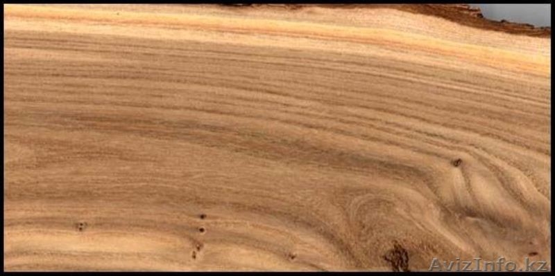 Карагач массив обрезной сухой 6-8% 30 мм. сорт 0-1 - Изображение #1, Объявление #1264943