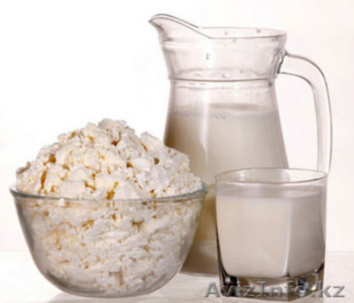 Домашний творог , сметана оптом - Изображение #1, Объявление #1264264