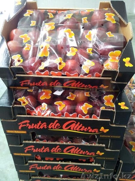 Oliver Fruits  S.L.  - Изображение #8, Объявление #1258705