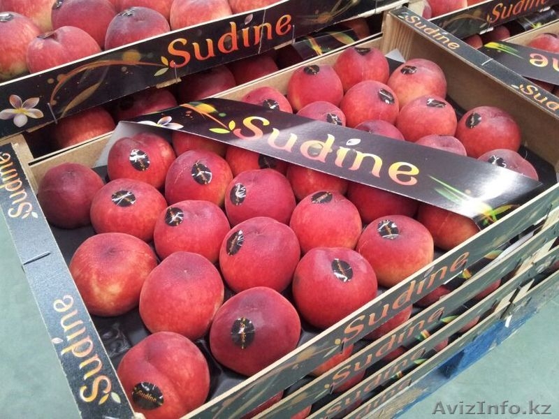 Oliver Fruits  S.L.  - Изображение #9, Объявление #1258705