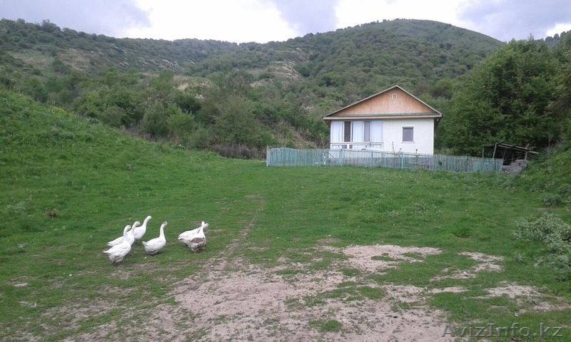 Участок 1 га с фермой в г. Талгар - Изображение #3, Объявление #1267669