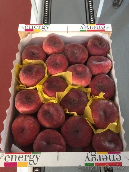 плоский персик(парагвайский) - Изображение #6, Объявление #1129252