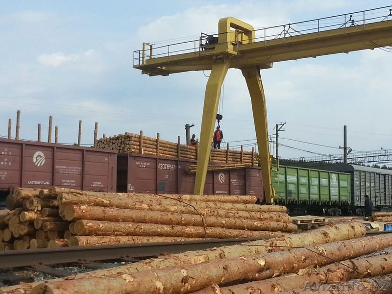 Продажа обрезной доски, круглого леса - производитель из Свердловской области - Изображение #4, Объявление #1266585