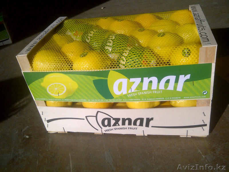 Oliver Fruits  S.L.  - Изображение #4, Объявление #1258705