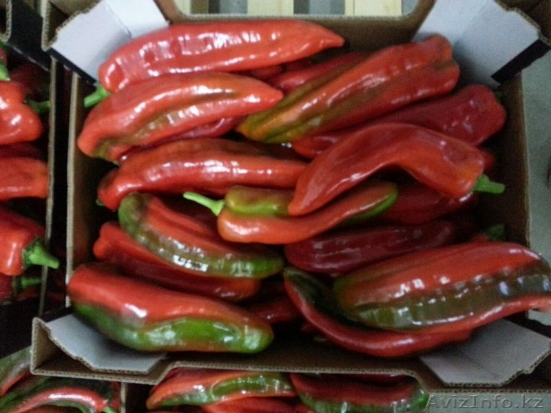 Oliver Fruits  S.L.  - Изображение #3, Объявление #1258705