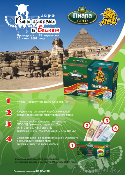 Фирменный стиль, полиграфия, иллюстрации - Изображение #4, Объявление #1266826