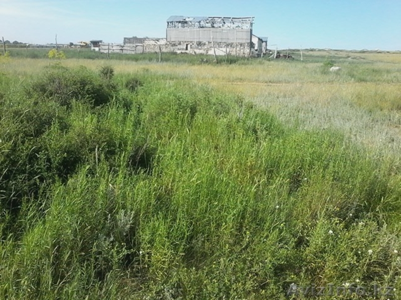  участок продам или поменяю - Изображение #7, Объявление #1268901