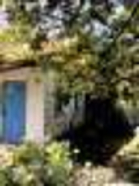 Продам дачный участок (87017376575) - Изображение #3, Объявление #1275388