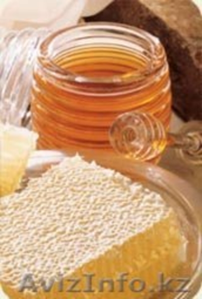 Курсы пчеловода он-лайн - Изображение #3, Объявление #1270239