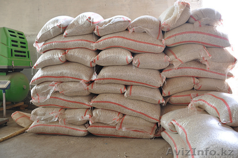 Продаём экологически чистую фасоль  из  Киргизии!!! - Изображение #1, Объявление #1274495