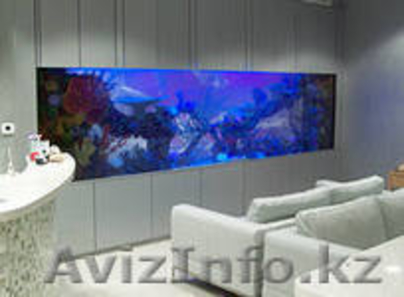 Аквариумный салон "Нептун" - Изображение #8, Объявление #1273697