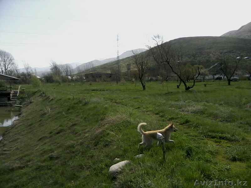 Красивые  места - Изображение #4, Объявление #1271965