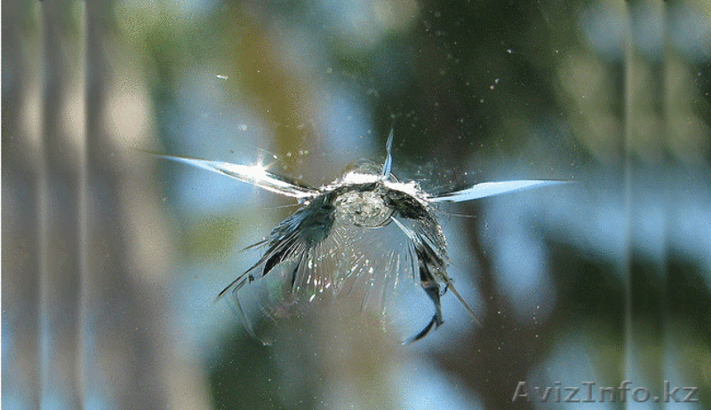 Реставрация лобового стекла сколы, трещины - Изображение #7, Объявление #1271146