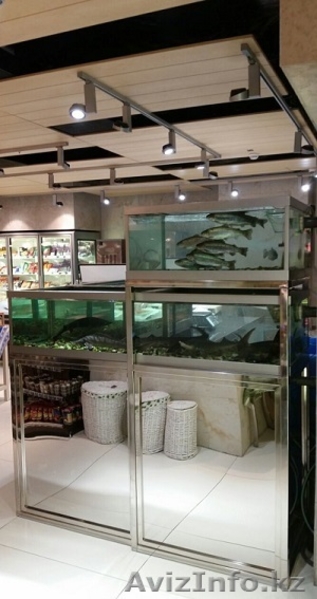 Аквариумы Торговые и морские и пресноводные - Изображение #1, Объявление #1284608