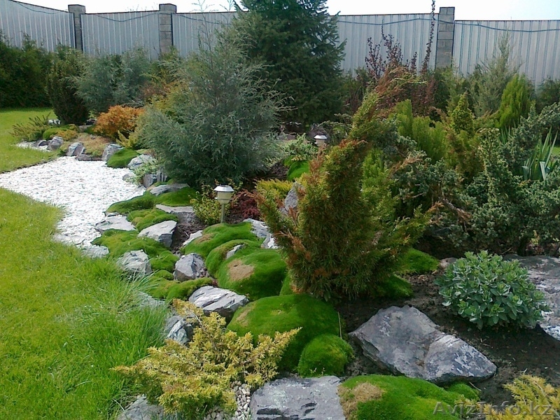 Услуги садовника. Обслуживание участка. - Изображение #6, Объявление #1287006