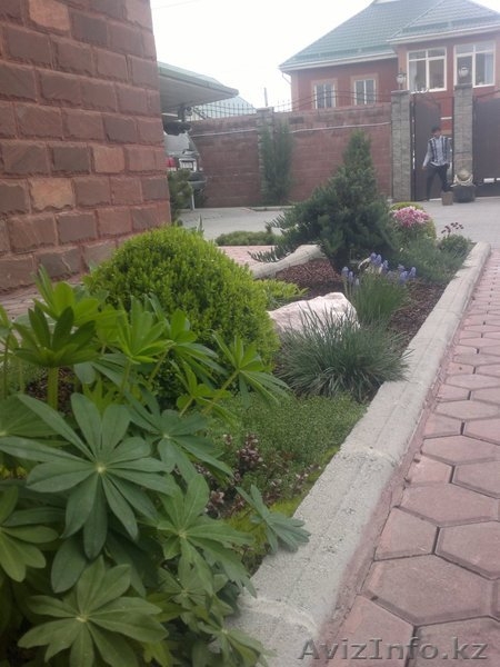 Услуги садовника. Обслуживание участка. - Изображение #7, Объявление #1287006