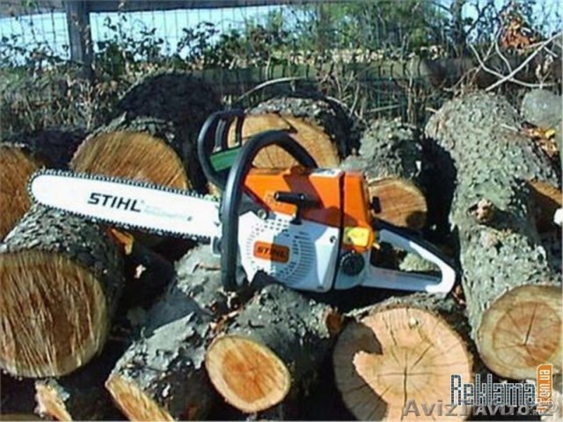 Спил и обрезка аварийных деревьев в Алматы - Изображение #1, Объявление #1295531