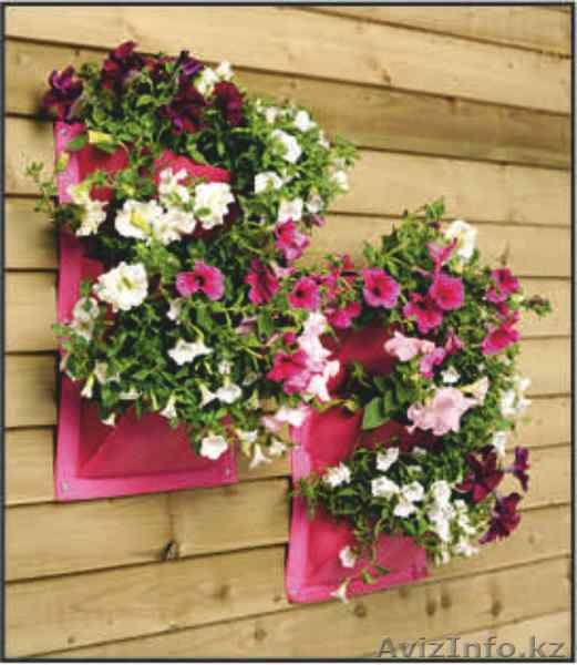 Карманы для растений  - Изображение #3, Объявление #1283649