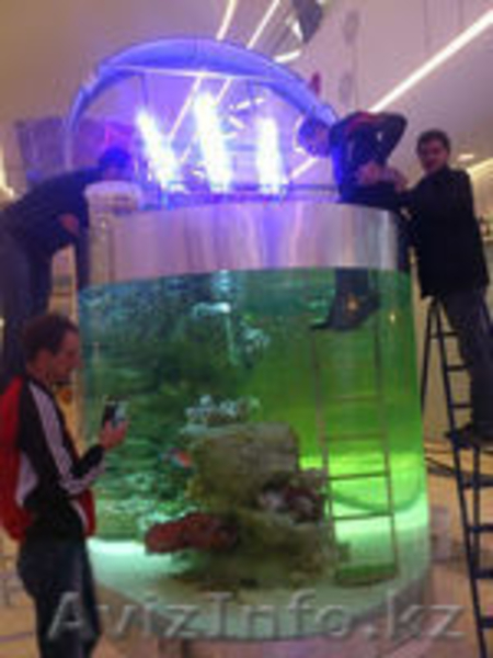 Обслуживание аквариумов морских и пресноводных - Изображение #3, Объявление #1284560