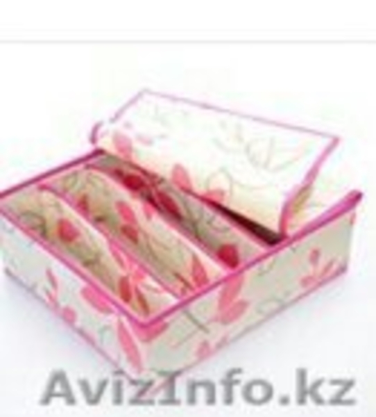 Органайзер для хранения бюстгальтеров с крышкой 41080 - Изображение #1, Объявление #1291421