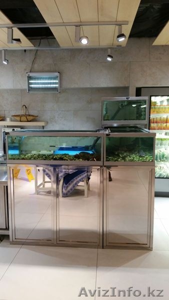 Аквариумы Торговые и морские и пресноводные - Изображение #2, Объявление #1284608