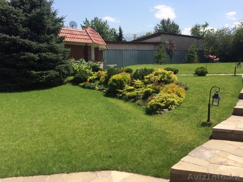 Рулонный газон. Укладка, стрижка и др. - Изображение #2, Объявление #1290810