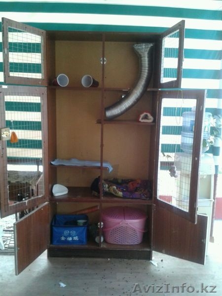 Клетка-шкаф для хорьков, кроликов и грызунов - Изображение #4, Объявление #1295153